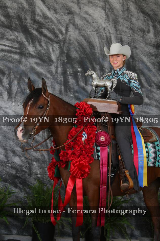 Proof 19YN_18305