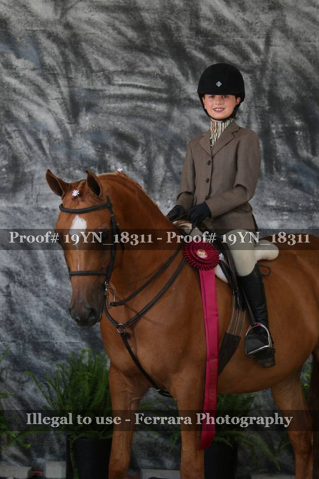 Proof 19YN_18311