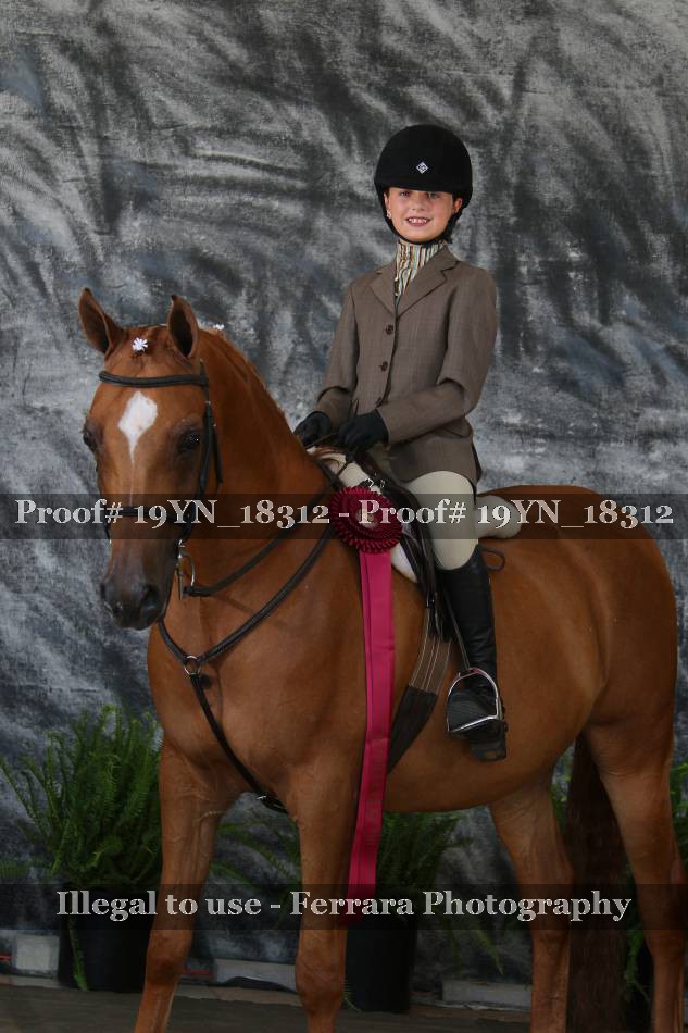 Proof 19YN_18312