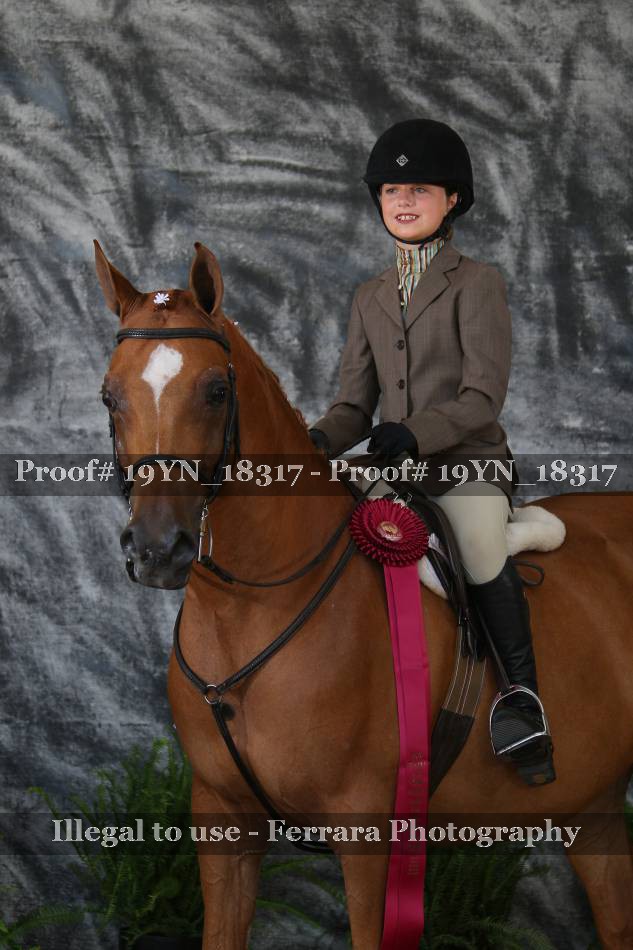Proof 19YN_18317