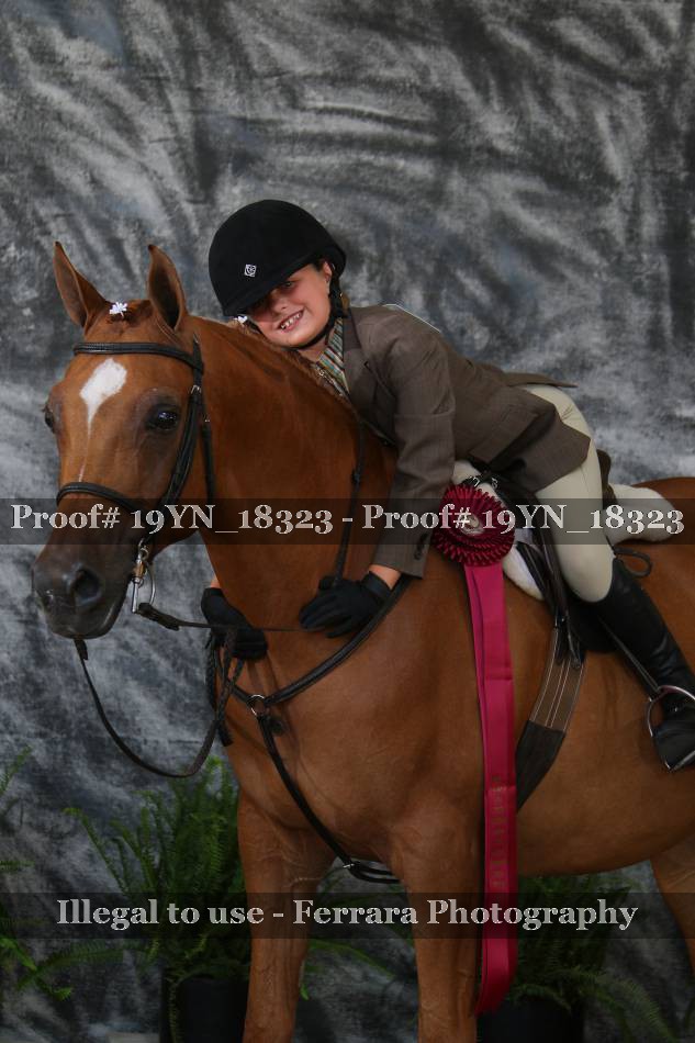 Proof 19YN_18323