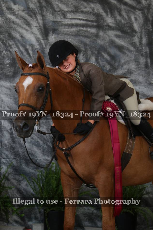 Proof 19YN_18324