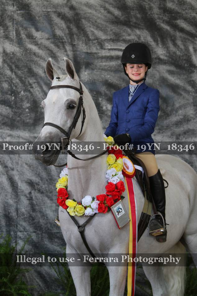 Proof 19YN_18346
