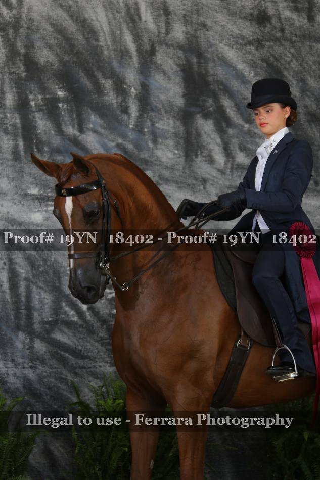 Proof 19YN_18402