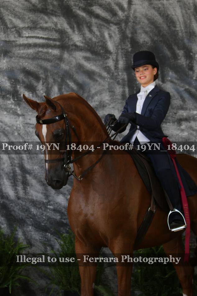 Proof 19YN_18404