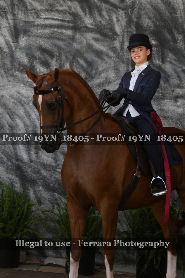 Proof 19YN_18405