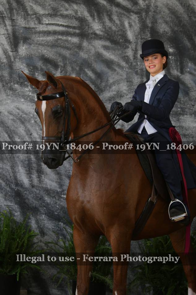 Proof 19YN_18406