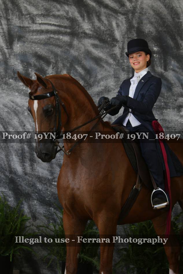 Proof 19YN_18407