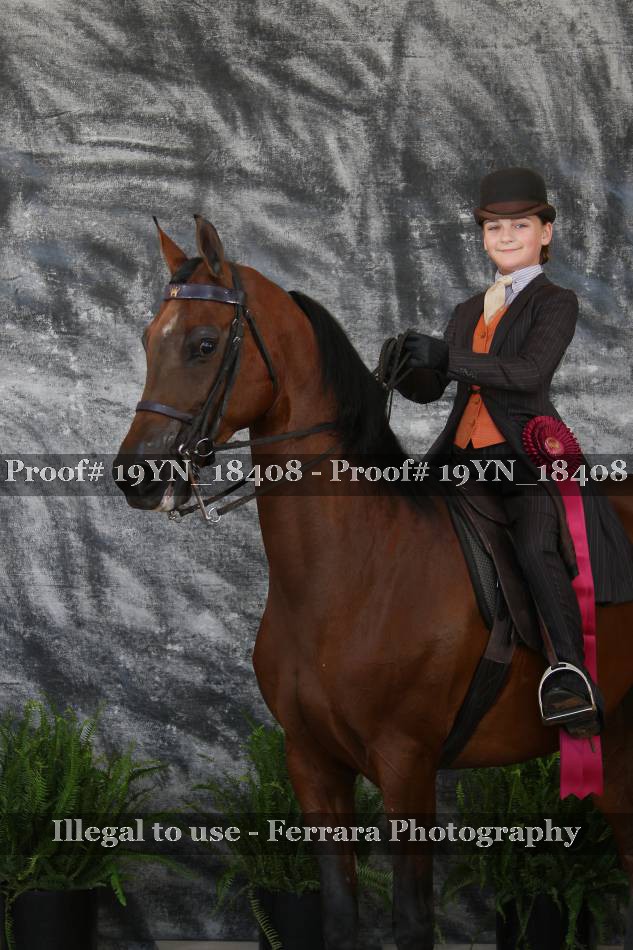 Proof 19YN_18408
