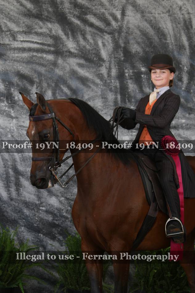 Proof 19YN_18409