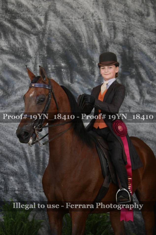 Proof 19YN_18410