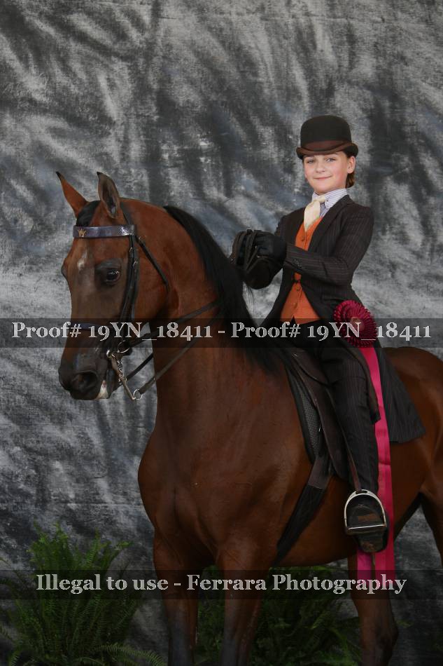 Proof 19YN_18411