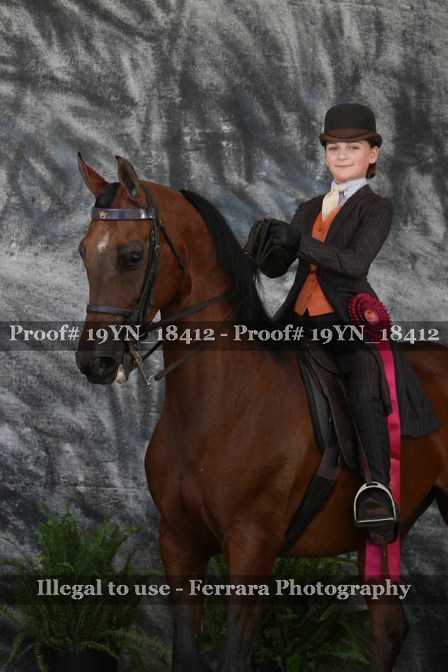 Proof 19YN_18412