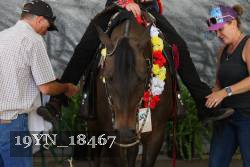 19YN_18467 proof