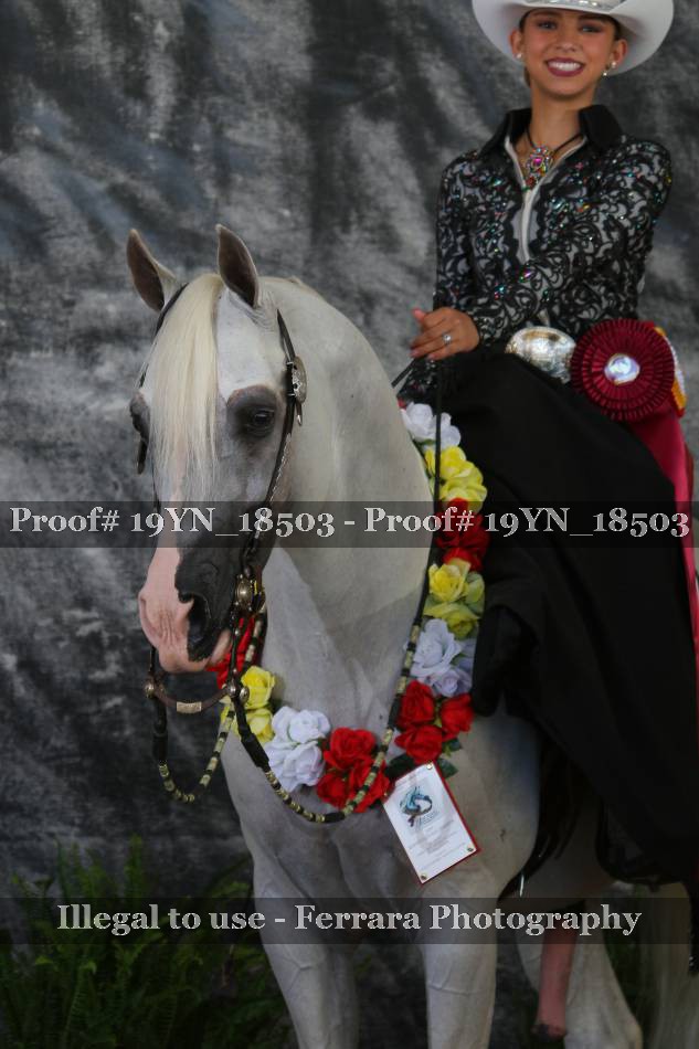 Proof 19YN_18503