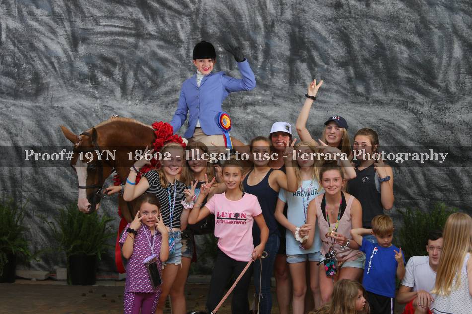Proof 19YN_18602