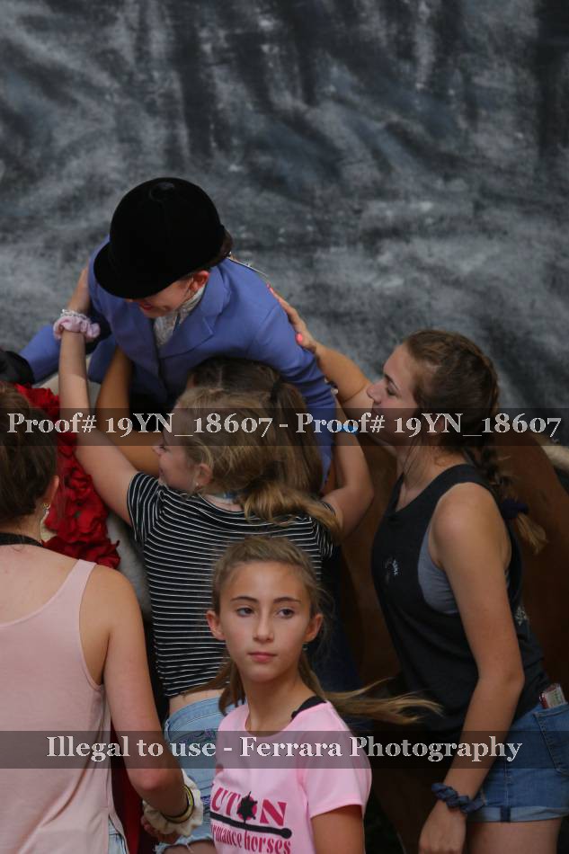 Proof 19YN_18607