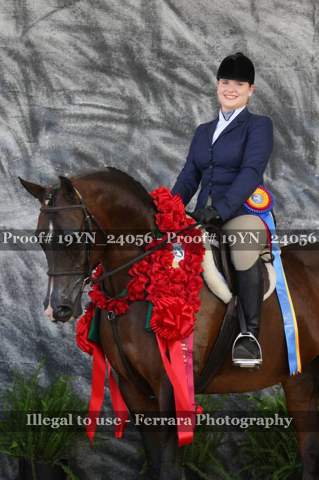 Proof 19YN_24056
