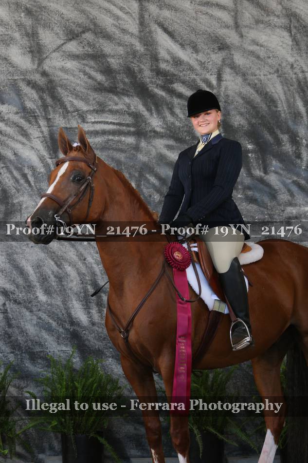 Proof 19YN_21476