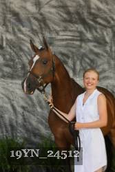 19YN_24512 proof