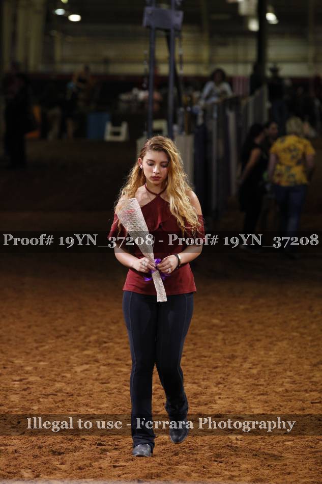 Proof 19YN_37208