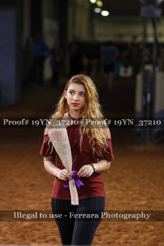 Proof 19YN_37210
