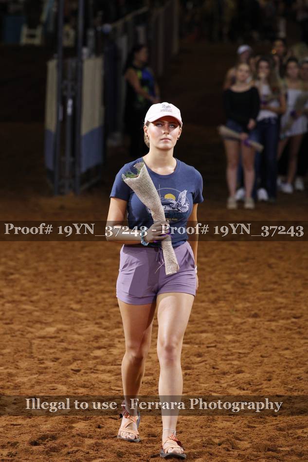 Proof 19YN_37243