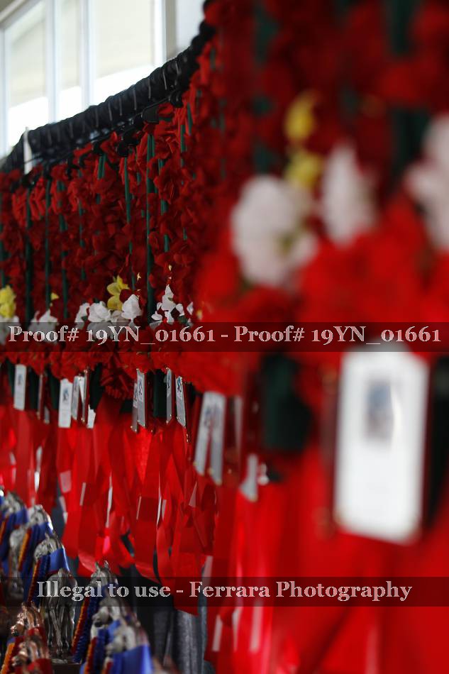Proof 19YN_01661