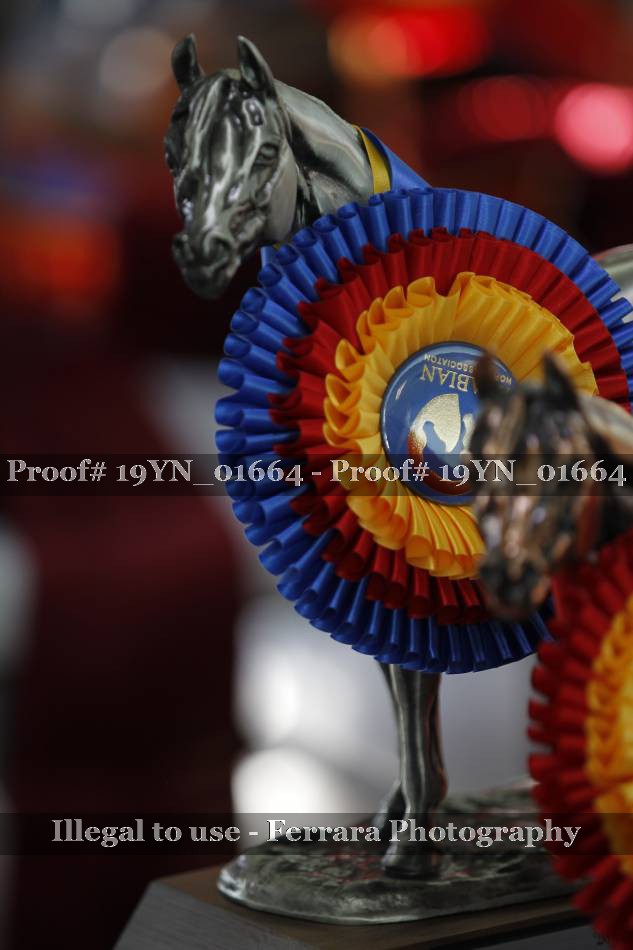 Proof 19YN_01664