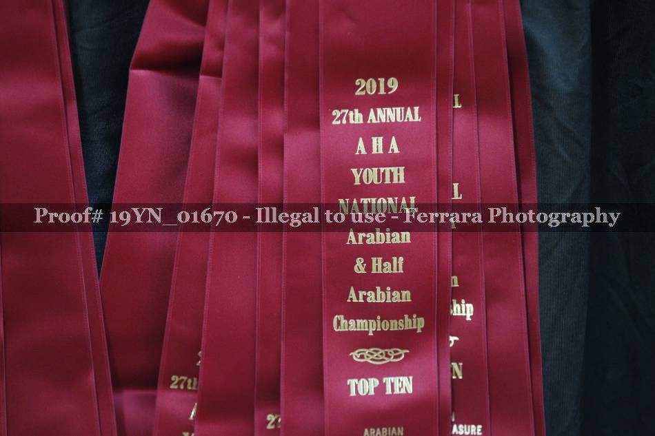 Proof 19YN_01670