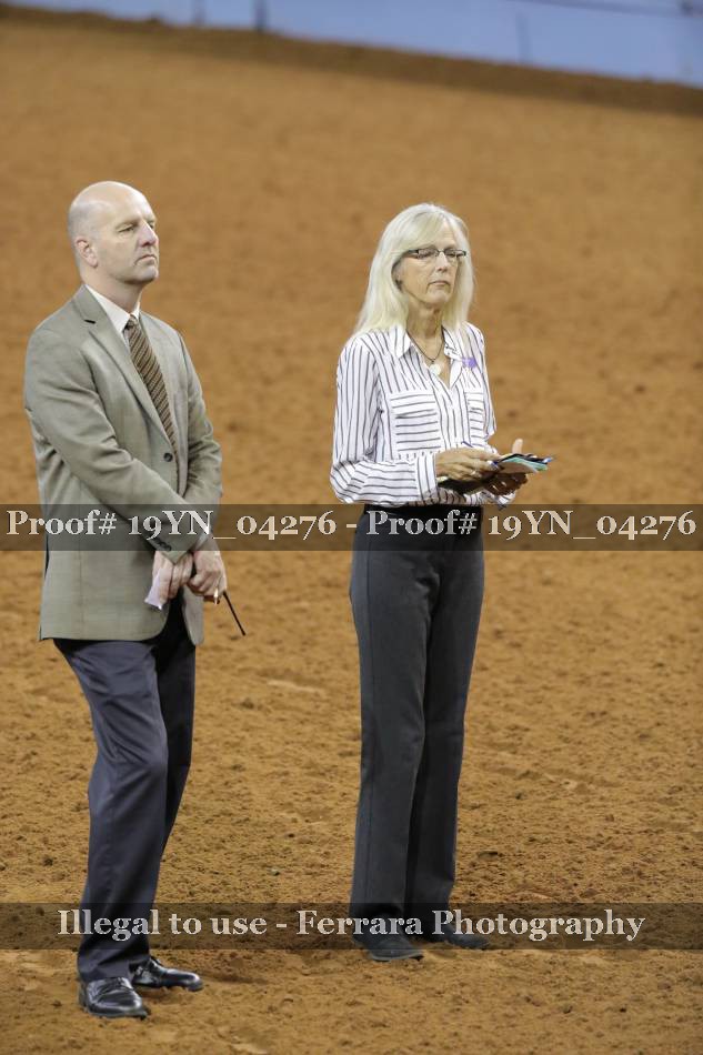 Proof 19YN_04276