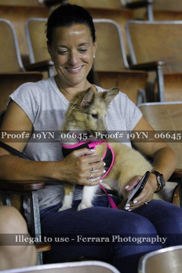 Proof 19YN_06645