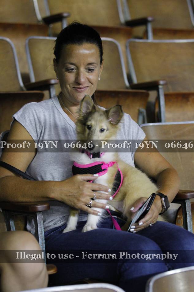 Proof 19YN_06646