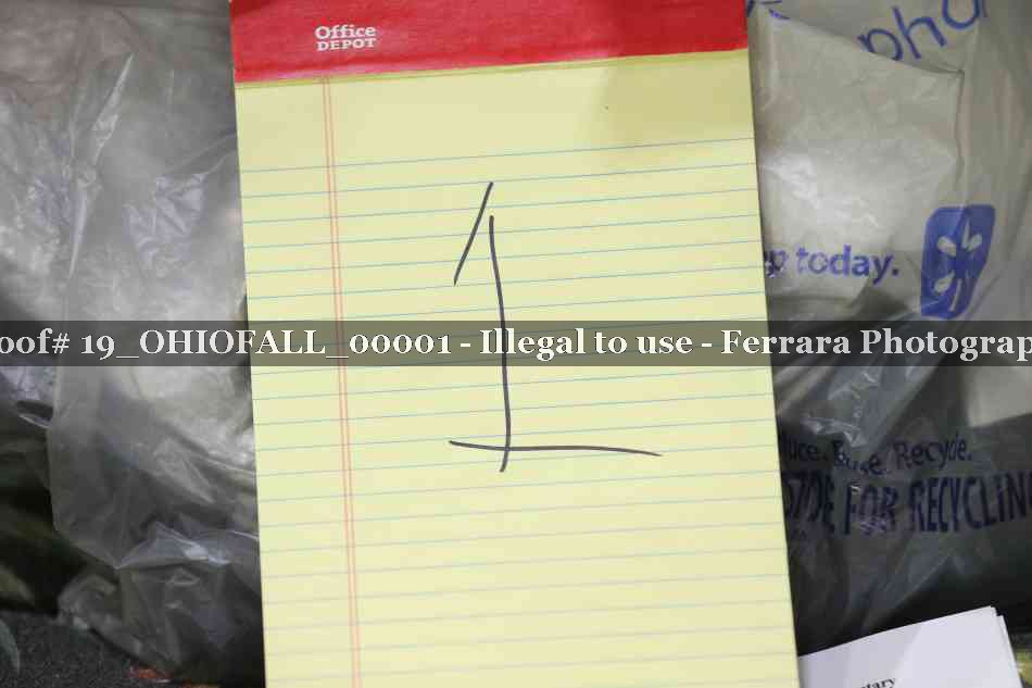 Proof 19_OHIOFALL_00001