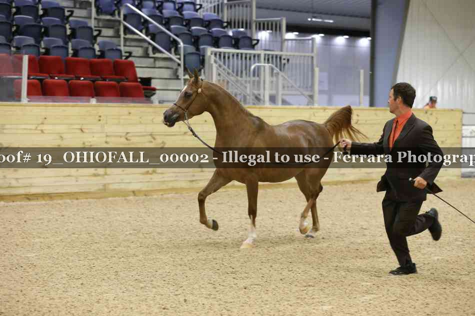 Proof 19_OHIOFALL_00002