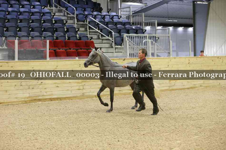 Proof 19_OHIOFALL_00003