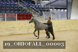 19_OHIOFALL_00003 proof