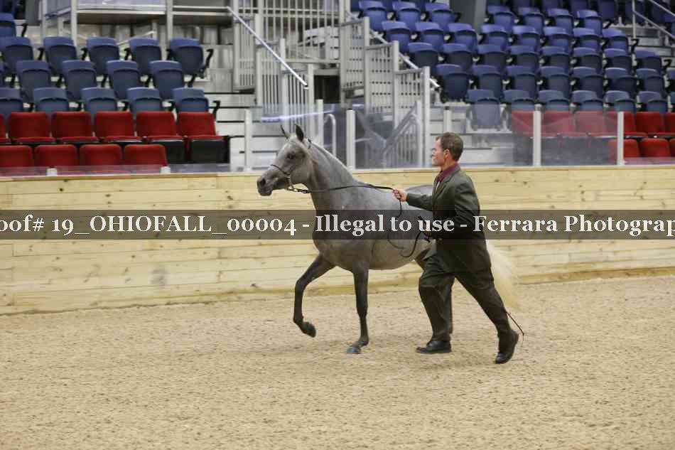 Proof 19_OHIOFALL_00004