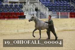 19_OHIOFALL_00004 proof