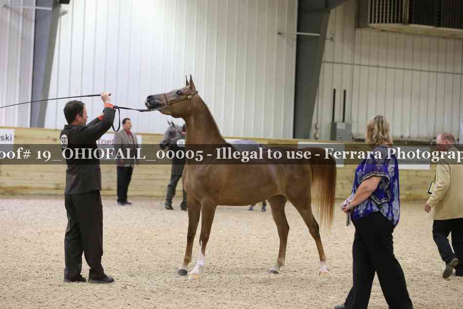Proof 19_OHIOFALL_00005