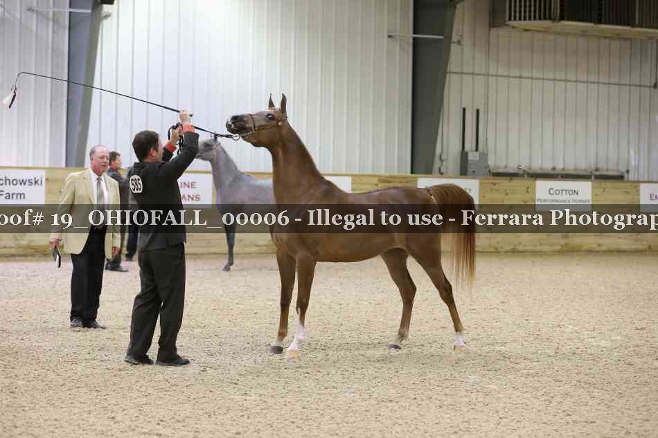 Proof 19_OHIOFALL_00006