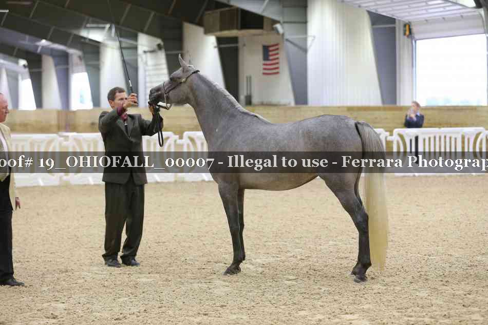 Proof 19_OHIOFALL_00007