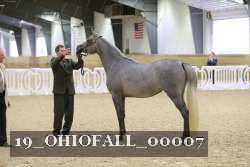 19_OHIOFALL_00007 proof