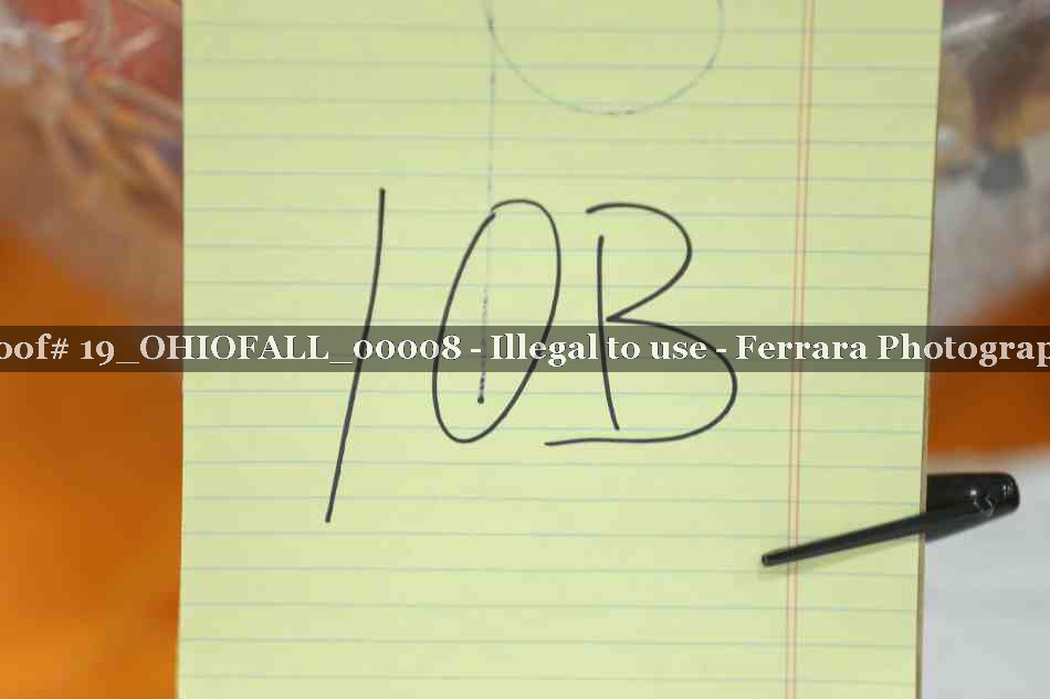 Proof 19_OHIOFALL_00008