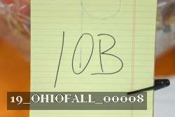 19_OHIOFALL_00008 proof