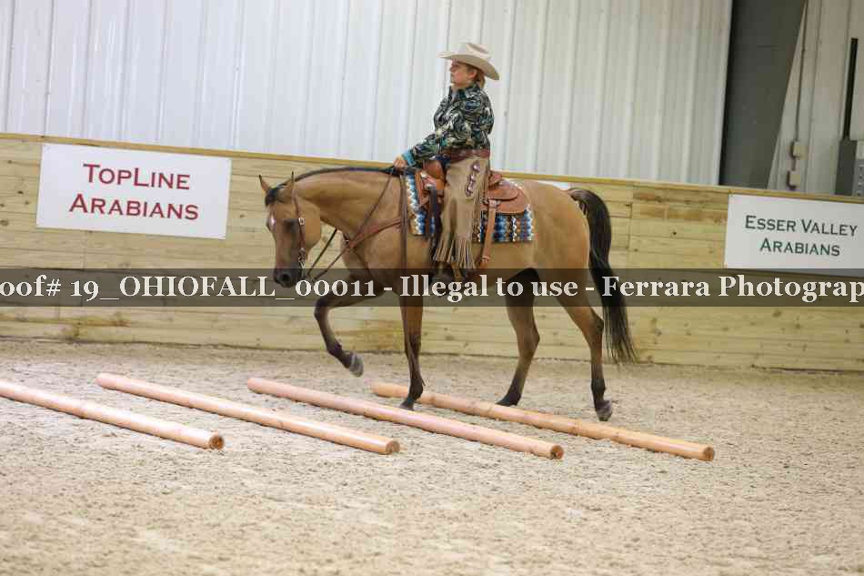 Proof 19_OHIOFALL_00011