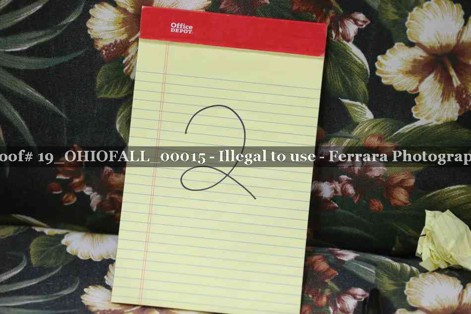 Proof 19_OHIOFALL_00015