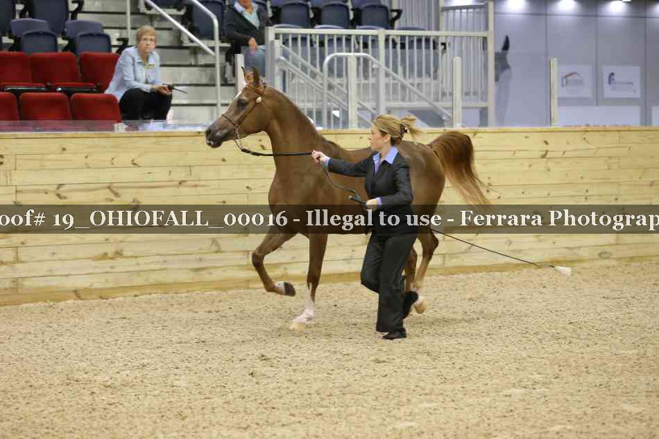 Proof 19_OHIOFALL_00016