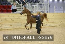 19_OHIOFALL_00016 proof