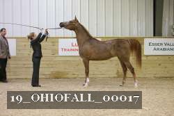 19_OHIOFALL_00017 proof